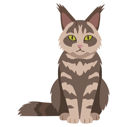 Cat Lovers Theme Fluffy Maine Coon Cat Transparent Sticker